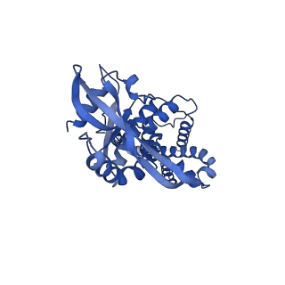29282_8flm_D_v1-0
Cryo-EM structure of STING oligomer bound to cGAMP, NVS-STG2 and C53