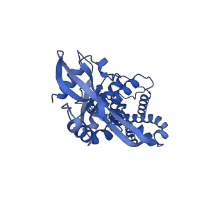 29282_8flm_D_v1-1
Cryo-EM structure of STING oligomer bound to cGAMP, NVS-STG2 and C53