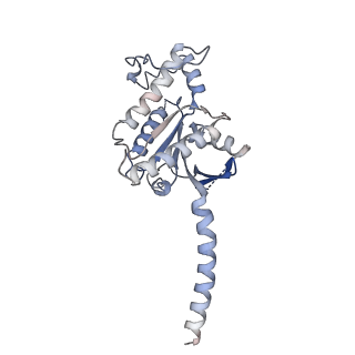 29285_8fls_A_v1-2
Human PTH1R in complex with Abaloparatide and Gs