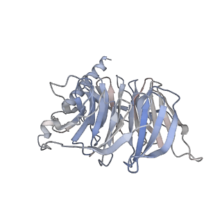29285_8fls_B_v1-2
Human PTH1R in complex with Abaloparatide and Gs