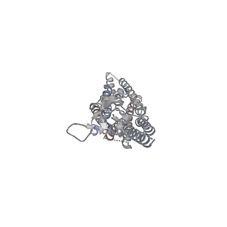 29285_8fls_R_v1-2
Human PTH1R in complex with Abaloparatide and Gs
