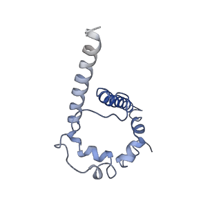 29288_8flw_B_v1-1
Cryo-EM Structure of PGT145 DU303 Fab in complex with BG505 DS-SOSIP.664