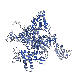 3218_5flm_A_v1-2
Structure of transcribing mammalian RNA polymerase II