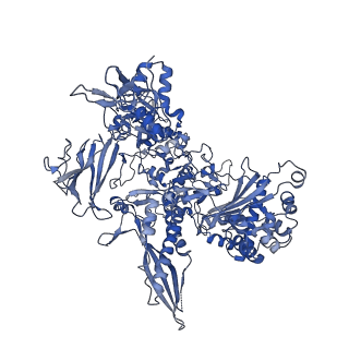 3218_5flm_B_v1-2
Structure of transcribing mammalian RNA polymerase II