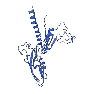 3218_5flm_C_v1-2
Structure of transcribing mammalian RNA polymerase II