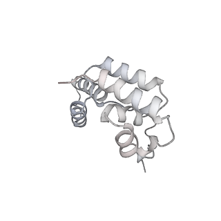 3218_5flm_D_v1-2
Structure of transcribing mammalian RNA polymerase II