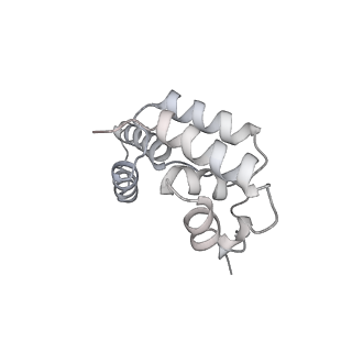 3218_5flm_D_v2-1
Structure of transcribing mammalian RNA polymerase II