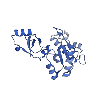 3218_5flm_E_v1-2
Structure of transcribing mammalian RNA polymerase II