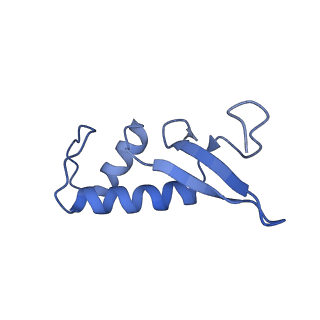 3218_5flm_F_v1-2
Structure of transcribing mammalian RNA polymerase II