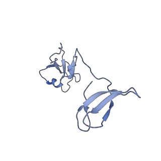 3218_5flm_I_v1-2
Structure of transcribing mammalian RNA polymerase II
