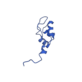 3218_5flm_J_v1-2
Structure of transcribing mammalian RNA polymerase II
