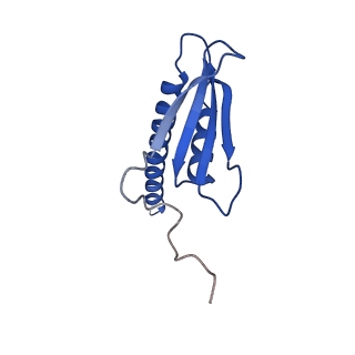 3218_5flm_K_v1-2
Structure of transcribing mammalian RNA polymerase II