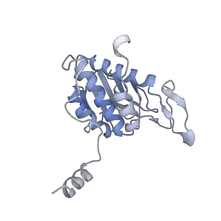 3221_5flx_A_v1-2
Mammalian 40S HCV-IRES complex