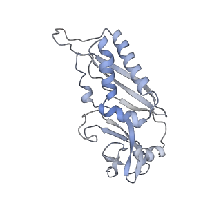 3221_5flx_B_v1-2
Mammalian 40S HCV-IRES complex