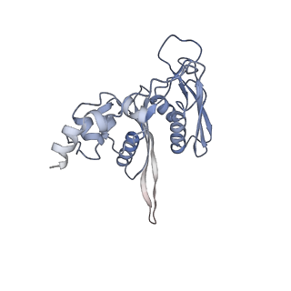 3221_5flx_C_v1-2
Mammalian 40S HCV-IRES complex