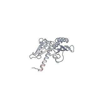 3221_5flx_D_v1-2
Mammalian 40S HCV-IRES complex