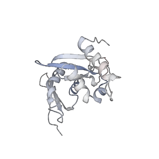 3221_5flx_H_v1-2
Mammalian 40S HCV-IRES complex