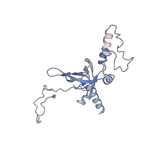 3221_5flx_I_v1-2
Mammalian 40S HCV-IRES complex