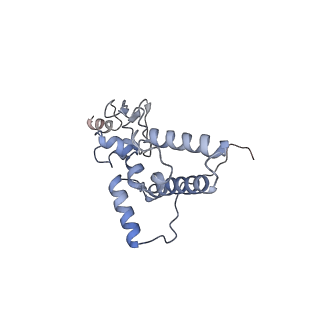 3221_5flx_J_v1-2
Mammalian 40S HCV-IRES complex