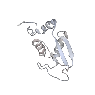 3221_5flx_K_v1-2
Mammalian 40S HCV-IRES complex