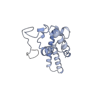 3221_5flx_N_v1-2
Mammalian 40S HCV-IRES complex