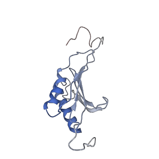 3221_5flx_O_v1-2
Mammalian 40S HCV-IRES complex