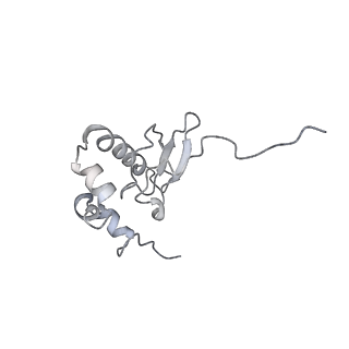 3221_5flx_P_v1-2
Mammalian 40S HCV-IRES complex