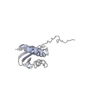 3221_5flx_Q_v1-2
Mammalian 40S HCV-IRES complex