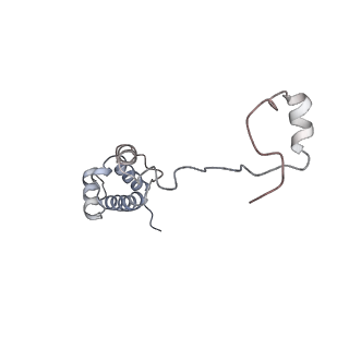 3221_5flx_R_v1-2
Mammalian 40S HCV-IRES complex