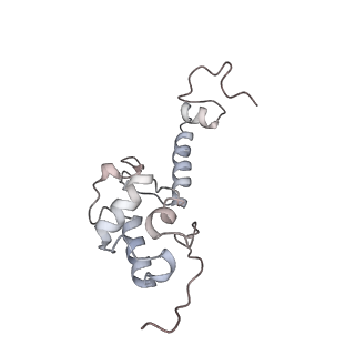 3221_5flx_S_v1-2
Mammalian 40S HCV-IRES complex