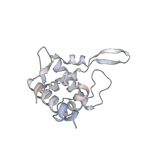 3221_5flx_T_v1-2
Mammalian 40S HCV-IRES complex