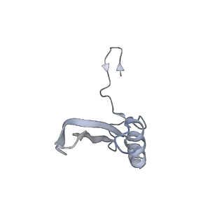 3221_5flx_V_v1-2
Mammalian 40S HCV-IRES complex