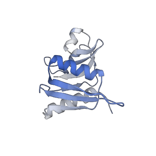 3221_5flx_W_v1-2
Mammalian 40S HCV-IRES complex