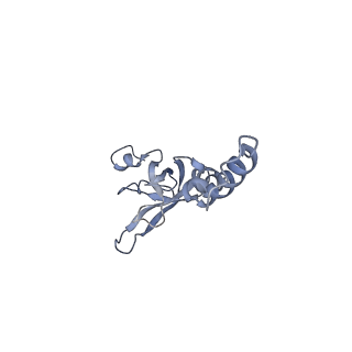 3221_5flx_X_v1-2
Mammalian 40S HCV-IRES complex