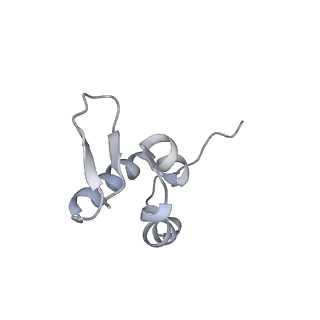 3221_5flx_Z_v1-2
Mammalian 40S HCV-IRES complex