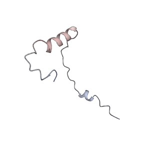 3221_5flx_e_v1-2
Mammalian 40S HCV-IRES complex