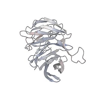 3221_5flx_g_v1-2
Mammalian 40S HCV-IRES complex