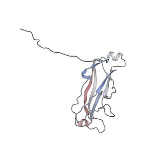 3222_5flu_B_v1-3
Structure of a Chaperone-Usher pilus reveals the molecular basis of rod uncoilin