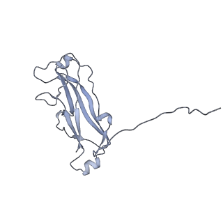 3222_5flu_D_v1-3
Structure of a Chaperone-Usher pilus reveals the molecular basis of rod uncoilin