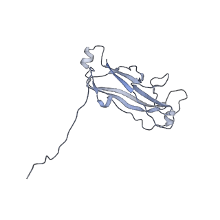 3222_5flu_F_v1-3
Structure of a Chaperone-Usher pilus reveals the molecular basis of rod uncoilin
