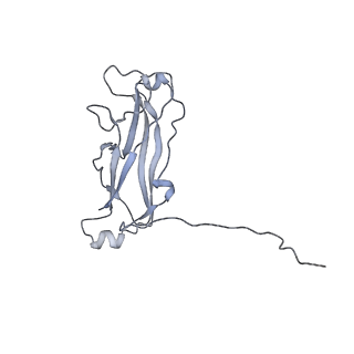 3222_5flu_G_v1-3
Structure of a Chaperone-Usher pilus reveals the molecular basis of rod uncoilin