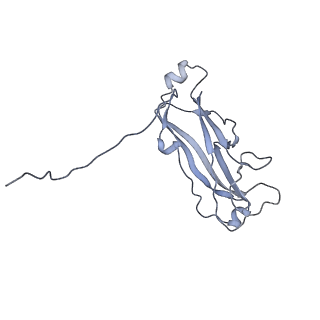 3222_5flu_H_v1-3
Structure of a Chaperone-Usher pilus reveals the molecular basis of rod uncoilin