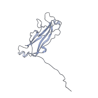 3222_5flu_I_v1-3
Structure of a Chaperone-Usher pilus reveals the molecular basis of rod uncoilin