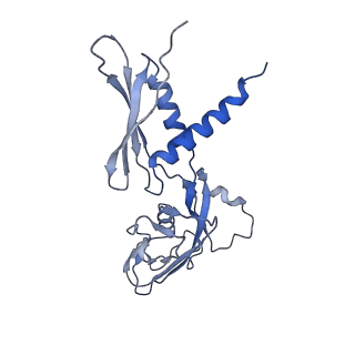 4274_6flp_A_v1-2
CryoEM structure of E.coli RNA polymerase paused elongation complex without RNA hairpin bound to NusA