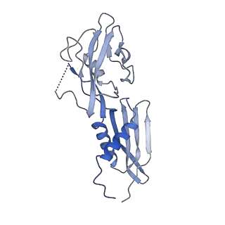 4274_6flp_B_v1-2
CryoEM structure of E.coli RNA polymerase paused elongation complex without RNA hairpin bound to NusA