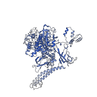 4274_6flp_C_v1-2
CryoEM structure of E.coli RNA polymerase paused elongation complex without RNA hairpin bound to NusA