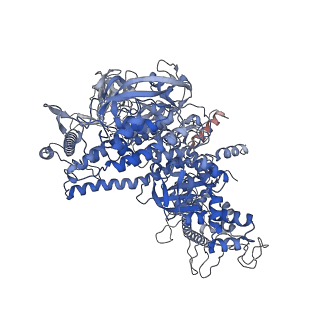 4274_6flp_D_v1-2
CryoEM structure of E.coli RNA polymerase paused elongation complex without RNA hairpin bound to NusA