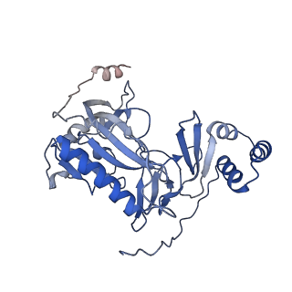 29290_8fma_A_v1-0
Nodavirus RNA replication proto-crown, detergent-solubliized C11 multimer