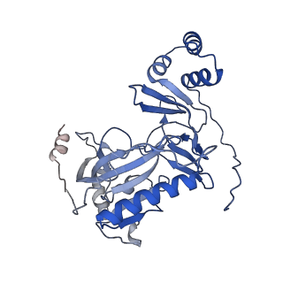 29290_8fma_B_v1-0
Nodavirus RNA replication proto-crown, detergent-solubliized C11 multimer