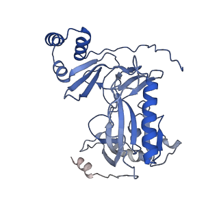 29290_8fma_C_v1-0
Nodavirus RNA replication proto-crown, detergent-solubliized C11 multimer